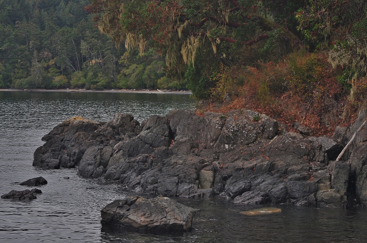 Creyke Trail, East Sooke Regional Park